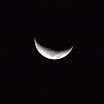 IMG_1141.jpg