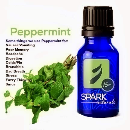 [peppermint%255B9%255D.jpg]