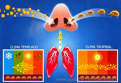 Alergia do pólen