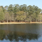 Little Pee Dee State Park.jpg