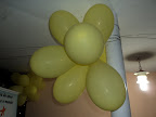 DSC00741.JPG