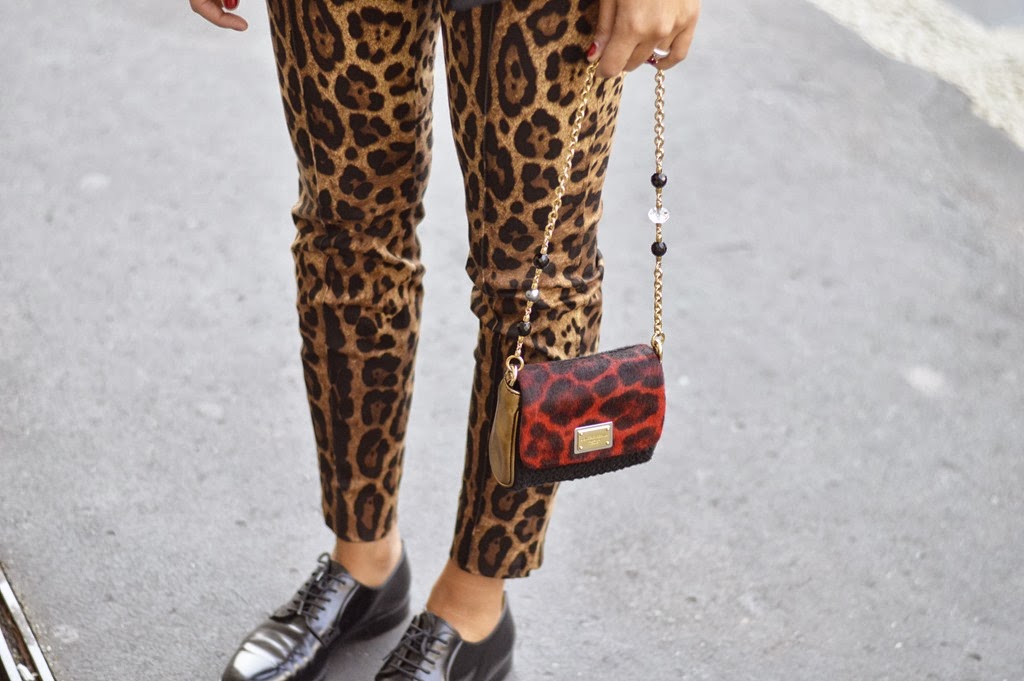 [_DSC0759---Copia5.jpg]