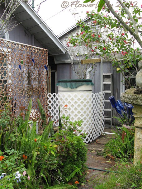 [05-16-rain-barrel-lattice%255B5%255D.jpg]