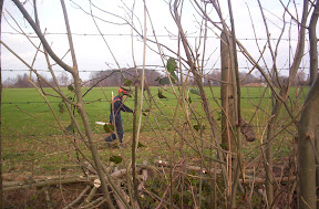 Klussendag 2007_20.jpg