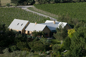 Central Otago Pinot Noir on both sides of the road in.