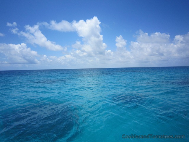 [Port%2520Douglas-1%255B8%255D.jpg]