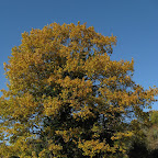 IMG_2274.jpg