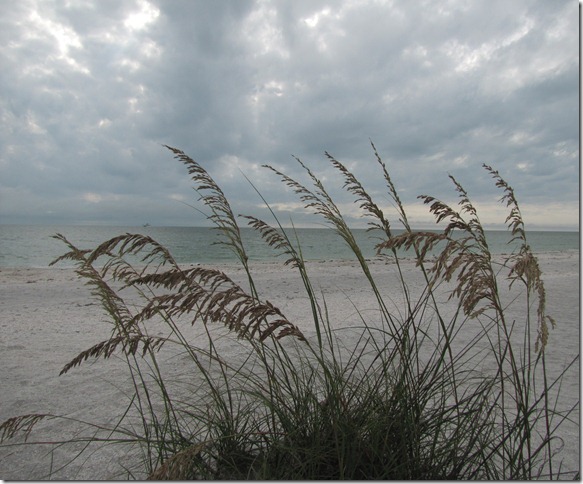 IMG_4777 IMG_4777