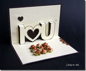 IMG_2331 IMG_2331