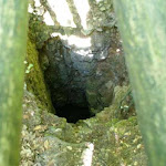 Rezerwat_Szachownica 12.jpg