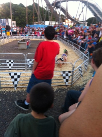 [Pig%2520Races%25202012%255B2%255D.jpg]
