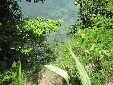 Grenada_Sautuers_Klippe