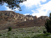 IMG_8485.JPG Photo