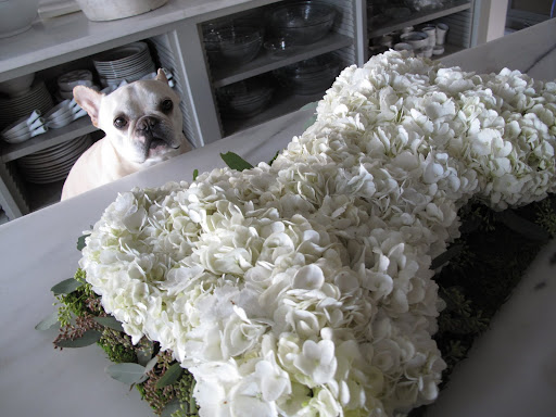 Isn't this just sensational?  A most gorgeous dog bone.  Now, if I could just eat it.  Ha-ha.
