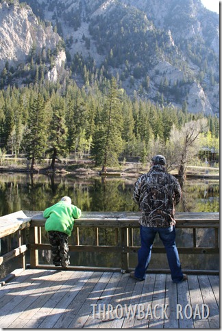 Buena Vista Trip 105 Buena Vista Trip 105