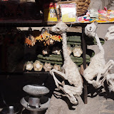P5303450.JPG