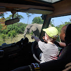 Simon hat einen Logenplatz © Foto: Marco Penzel | Outback Africa Erlebnisreisen