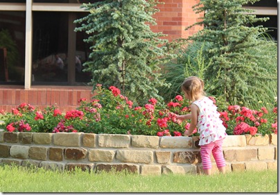 IMG_1534 IMG_1534