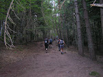 Selva de Oza