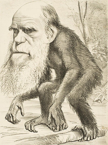 [darwin%2520monkey%255B3%255D.jpg]