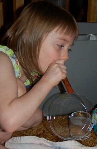 [sadi88months32.jpg]