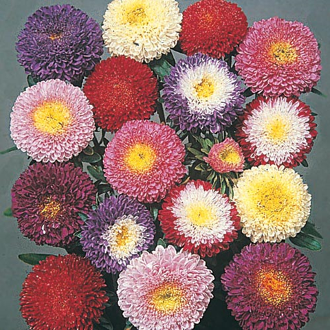 [image%255B106%255D.png]