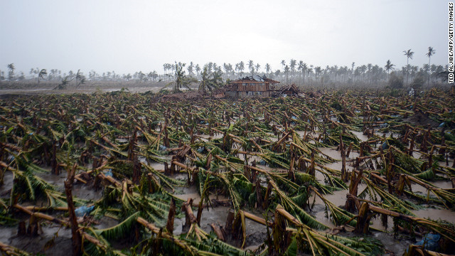 Typhoon Bopha toppled thousands of banana trees on a plantation in New Bataan, Compostela Valley province, in the Philippines on Friday, 7 December 2012. CNN