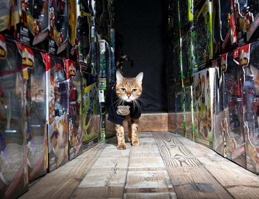 [bf1a6c9a79d9bf34eadacdc7c33_prev%5B6%5D.jpg]