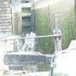 View album