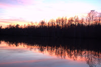 DSC_6537.jpg