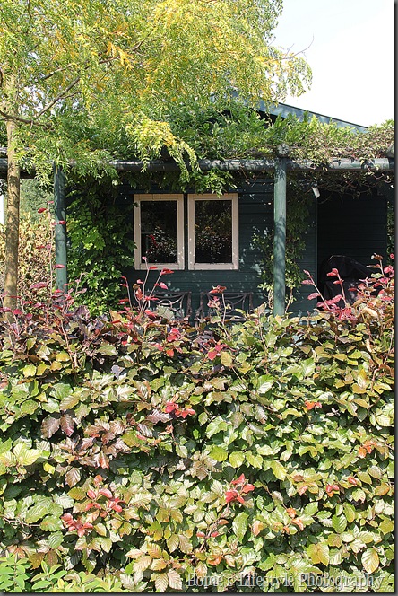 Home & Lifestyle IMG_2101