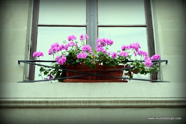 [IMG_710212.jpg]