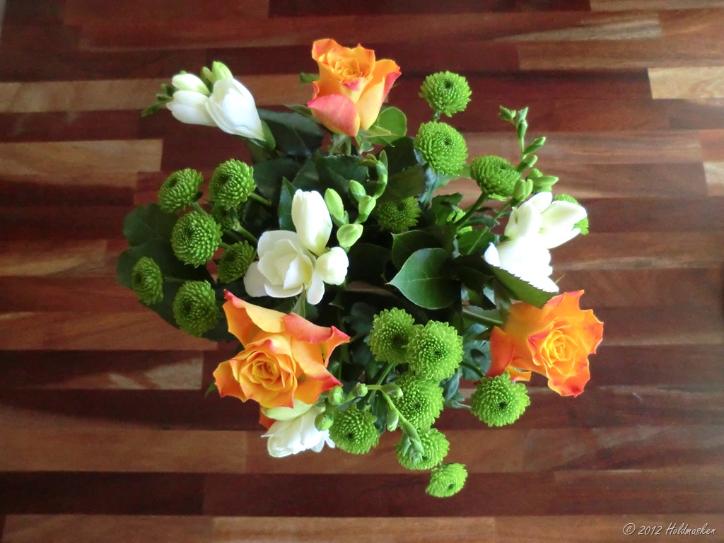 [Blomster%2520%252B%2520t%25C3%25B8j%2520002%255B9%255D.jpg]