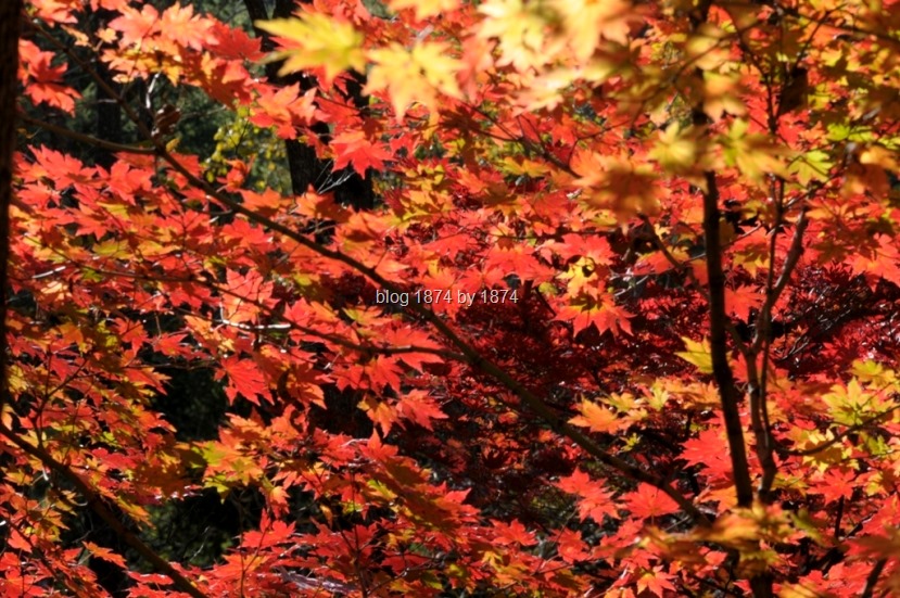 [SYG_4911%255B9%255D.jpg]