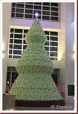 IMG_1598 IMG_1598