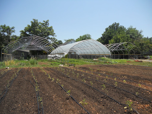 The Urban Roots Farm back garden and high tunnels (in background).
(Photo credit: Samuel Crowe)