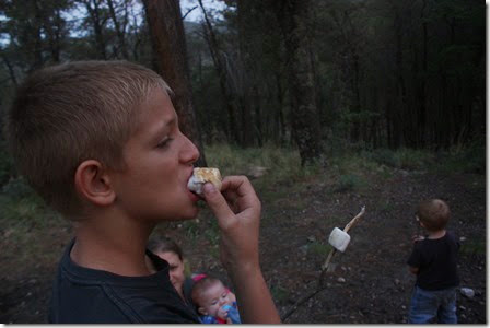 bear pics mt lemmon clay priesthood 202