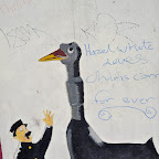DSC_7947-2.jpg