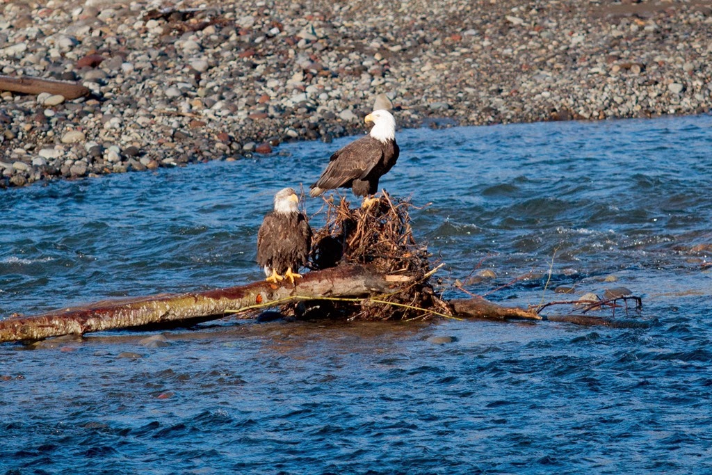 [IMG_3045%255B3%255D.jpg]