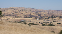 DSC03002.jpg