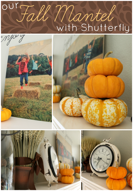 Shutterfly stock options