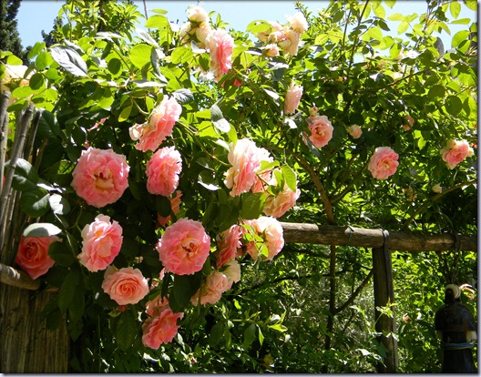 DSCN4018 DSCN4018