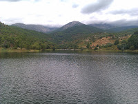 1314793766196.jpg Photo