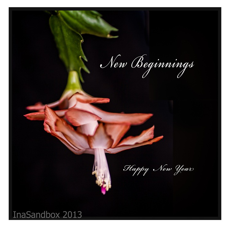 [Happy%2520New%2520Year%25202013%255B3%255D.jpg]