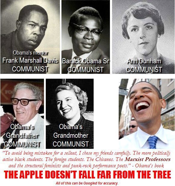 [ObamaAppleTree%255B3%255D.jpg]