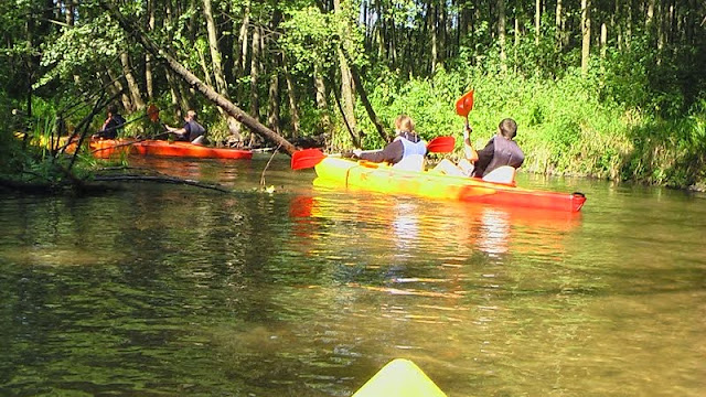 IMGA0828.JPG