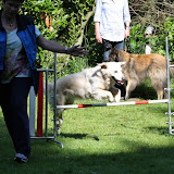 IMG_5109.JPG