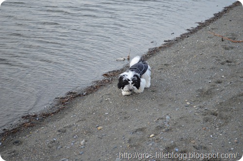 DSC_0025 DSC_0025