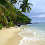 A Beach All To Yourself - Dravuni Island, Fiji