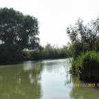 IMG_8018.JPG